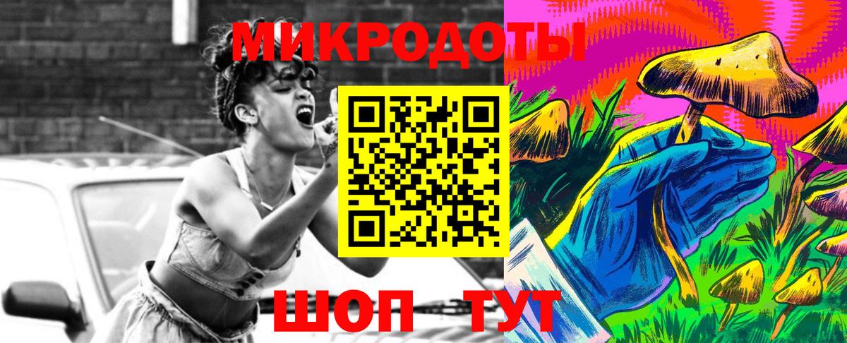 Галлюциногенные грибы Psilocybine cubensis Медногорск