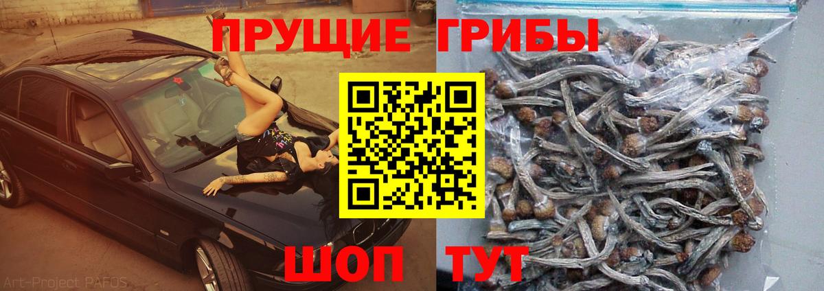 Медногорск  Псилоцибиновые грибы ЛСД  цена наркотик  Вход с VPN 